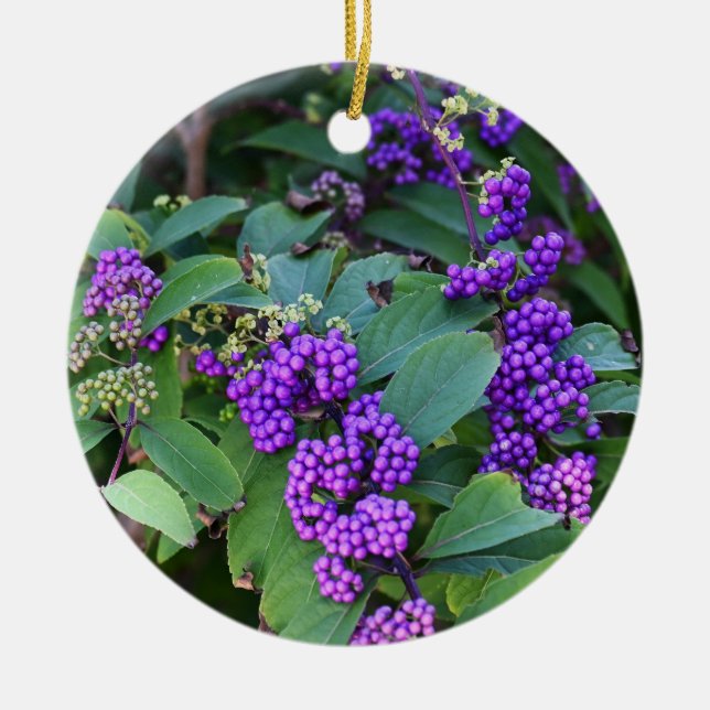 Purple Berries Photo Ornament (Front)