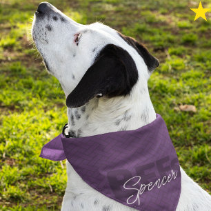 Purple Best Friends Custom Name Pet Bandana