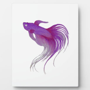 Purple Betta Fish Home Decor Furnishings Pet Supplies Zazzle