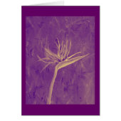 Purple Bird of Paradise (Front)