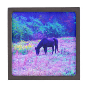 Purple Black Horse in Rainbow field Gift Box