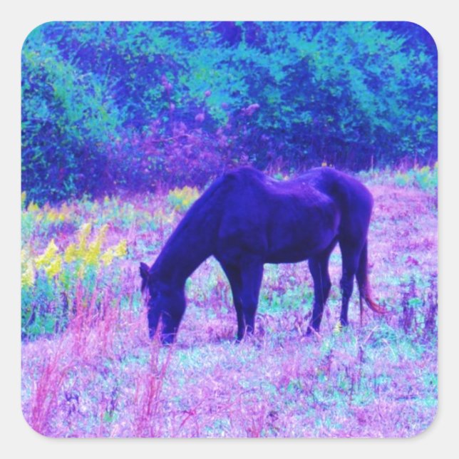 Purple Black Horse in Rainbow field Square Sticker (Front)