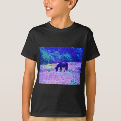 Purple Black Horse in Rainbow field T_Shirt