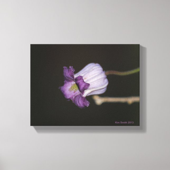 Purple Bloom Canvas Print (Front)