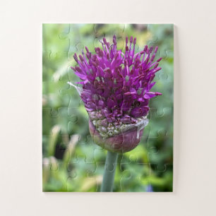 Purple Bloom of Memory Allium Flower Botanical Jigsaw Puzzle