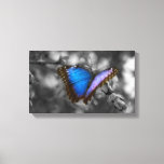 Purple Blue Butterfly Canvas Print at Zazzle