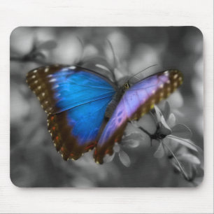 Purple Blue Butterfly Mouse Pad