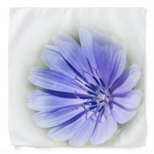 purple blue chicory bandana