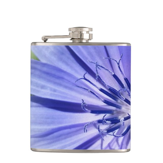 purple blue chicory flask (Front)