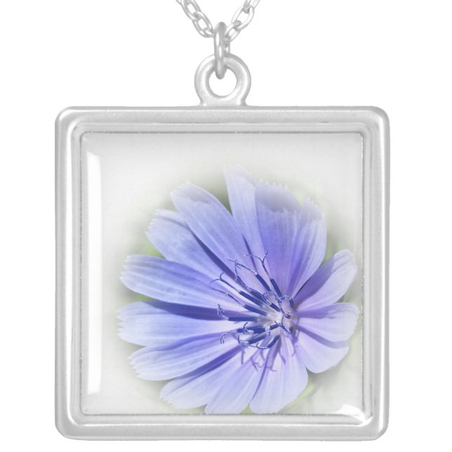 purple blue chicory silver plated necklace (Front)