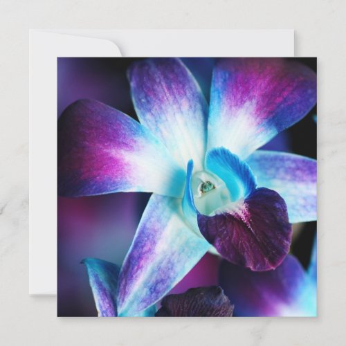 Purple &amp; Blue Dendrobium Orchid Customized Orchids Invitations
