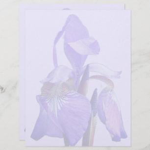 Purple Blue Flag Iris Flower Letterhead