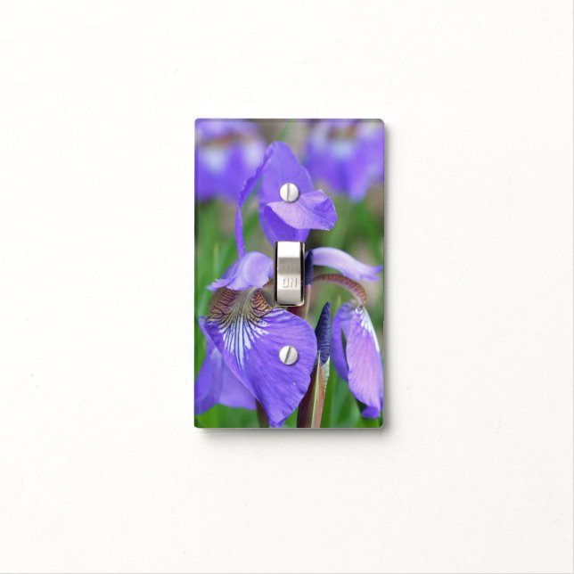 Purple Blue Flag Iris Flower Nature Light Switch Cover (In Situ)