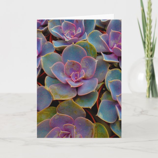 Purple Blue Green Succulent Cactus Plant Card (Front)
