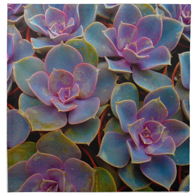Purple Blue Green Succulent Cactus Plant Cloth Napkin (Front)