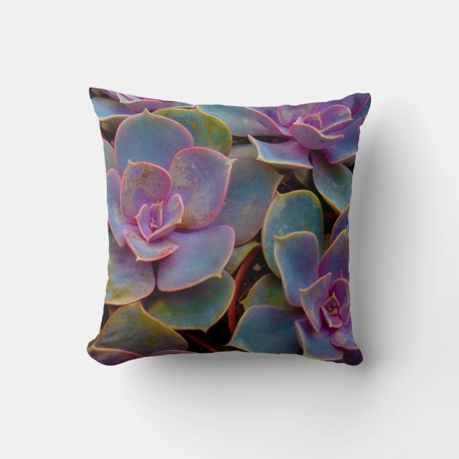 Purple Blue Green Succulent Cactus Plant Throw Pillow (Front)
