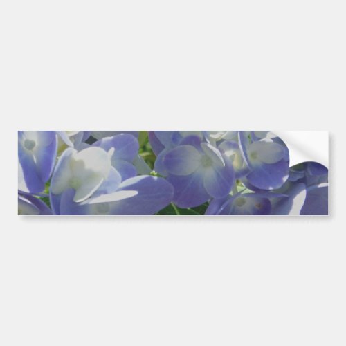 Purple Blue Hydrangea Bumper Sticker