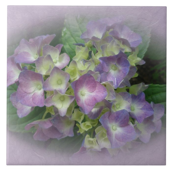 Purple Blue Hydrangea Flowers Tiles