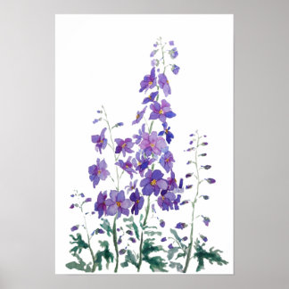 purple blue pink delphinium watercolor poster