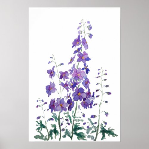 purple blue pink delphinium watercolor  poster