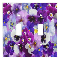 Purple Blue White Floral Pansy Flowers
