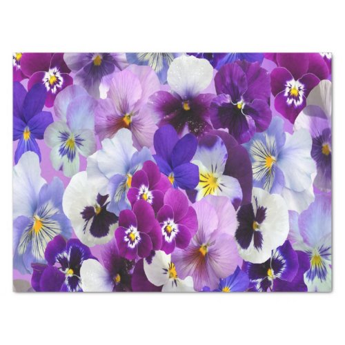 Purple Blue White Pansy Floral Flower Brirthday  Tissue Paper