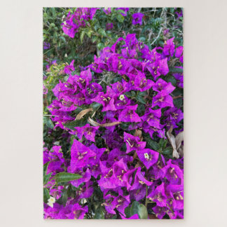 Purple Bougainvillea, Oakland Jigsaw Puzzle