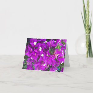 Purple Bougainvillia Photo Folded Note Card