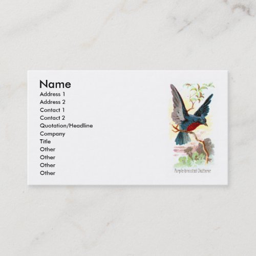 Purple Breasted Chatterer Business Cards