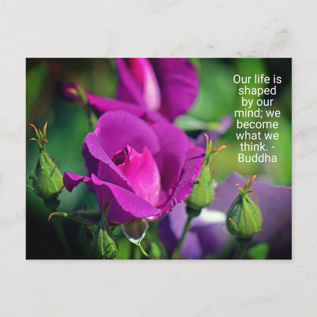 Purple Budding Rose Motivational Quote Postcard (Front)