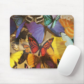 purple burgundy orange colorful tropical butterfly mouse pad