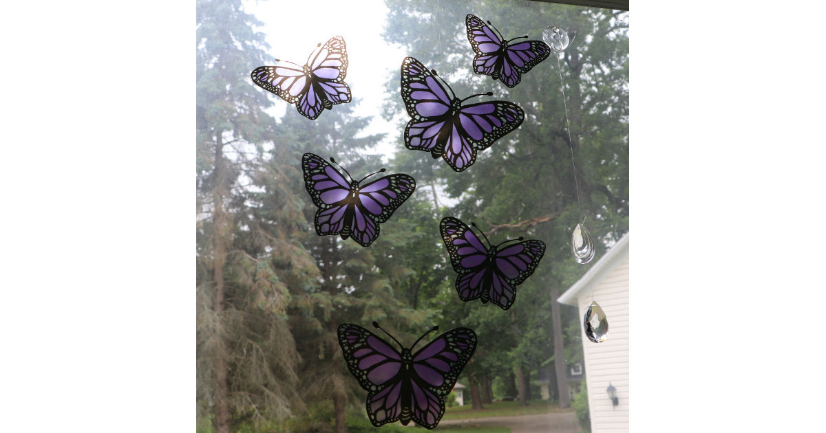 real purple butterflies in nature