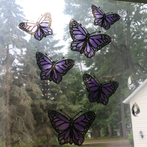 Purple Butterflies Butterfly Violet Nature Lovers  Window Cling