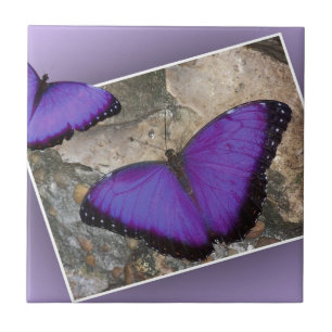 Purple Butterflies Ceramic Tile