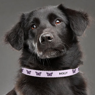 Purple Butterflies With Custom Name Pet Collar