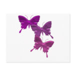 Purple Butterfly Design Postcard