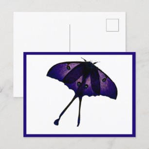 Purple Butterfly in Spring Garden Nature Photo Postcard