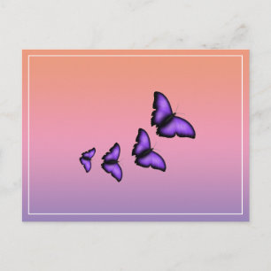 Purple Butterfly Postcard