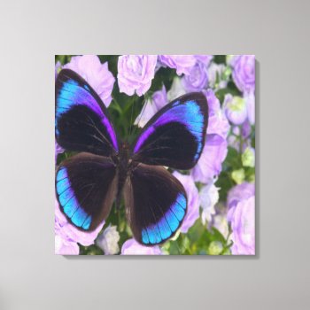 Purple Butterfly  Premium Wrapped Canvas by esoticastore at Zazzle