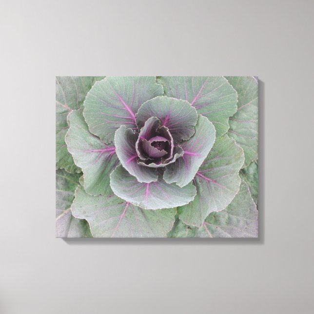 Purple Cabbage Wrapped Canvas Print (Front)