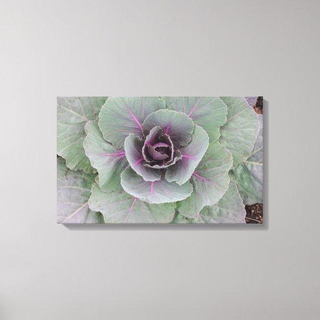 Purple Cabbage Wrapped Canvas Print (Front)