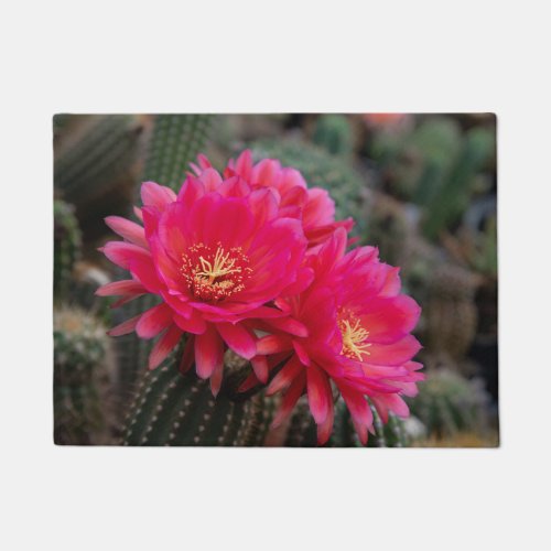 Purple Cactus Blossom Doormat