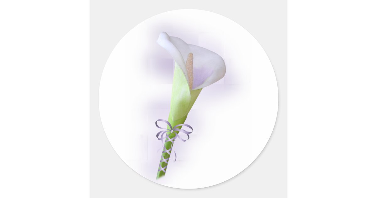 Purple Calla Lily Classic Round Sticker | Zazzle