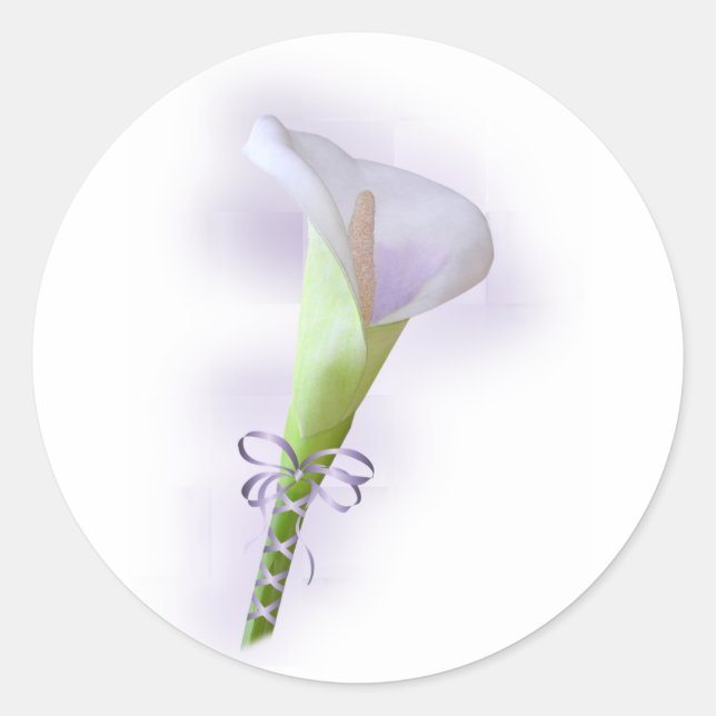 Purple Calla Lily Classic Round Sticker (Front)
