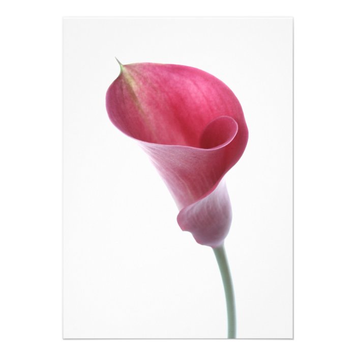 Purple Calla Lily Invitation