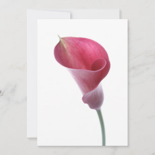 Purple Calla Lily Invitation