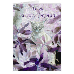 Purple Cat Sympathy Pet Loss Cards