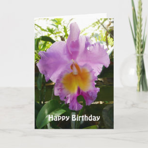 Purple Cattleya Orchid Tropical Flower Template