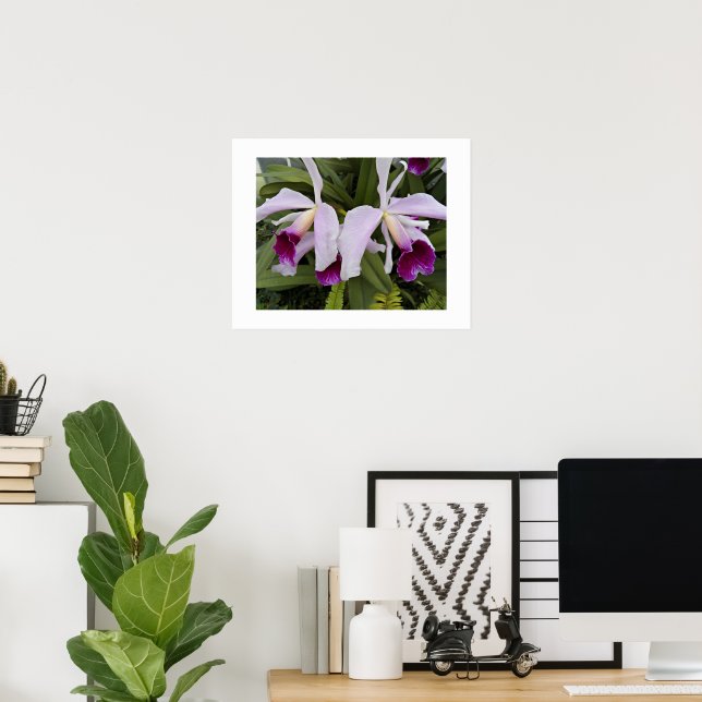 Purple Cattleya Orchids Floral Poster (Home Office)
