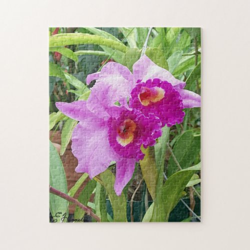 Purple Cattleya Orchids Jigsaw Puzzle
